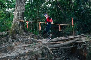 BIB: 
                            <button type="button" onclick="openModal(27806861)" class="btn btn-primary btn-sm float-right btn-popup" data-toggle="modal" data-target=".modal-high-quality">
                        <i class="fas fa-shopping-cart"></i> Add to Cart
                    </button>
                                            <button type="button" onclick="isThisMe(27806861, true)" class="btn btn-success btn-sm float-right btn-popup btn-isme hidden" data-toggle="tooltip" data-placement="bottom" title="นี่คือรูปของคุณใช่ไหม คลิกที่นี่เพื่อเอาเข้าอัลบั้ม">
                        <i class="fas fa-plus"></i> Add to album
                    </button>
                    <button type="button" onclick="isThisMe(27806861, false)" class="btn btn-warning btn-sm float-right btn-popup btn-isnotme hidden">
                        <i class="fas fa-ban"></i> Remove from album
                    </button>